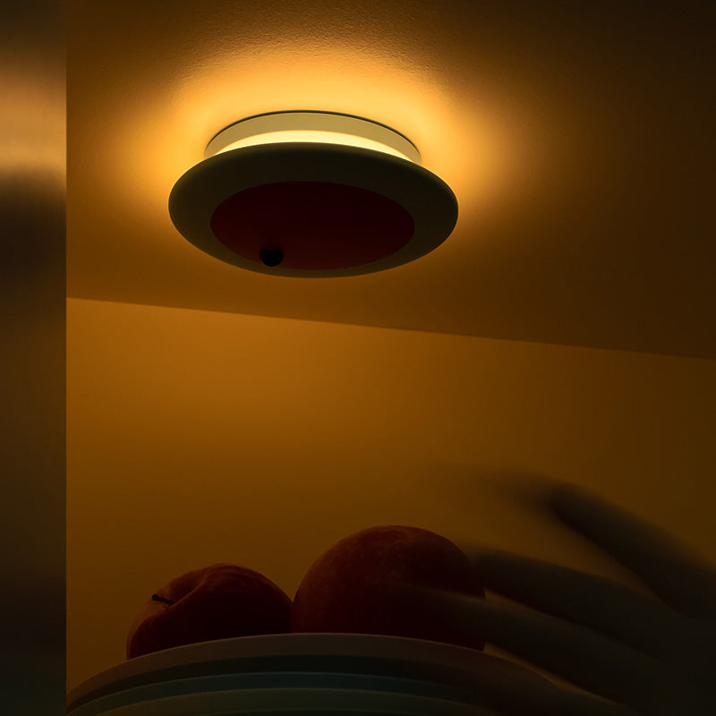 Sensor Lamp - Fruit Series