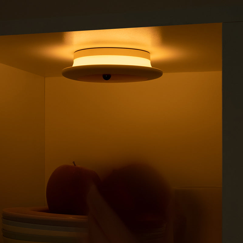 Sensor Lamp - Fruit Series
